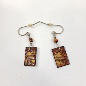 Wood Themed Resin Covered Small Dangle Earrings